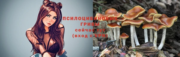 таблы Медногорск