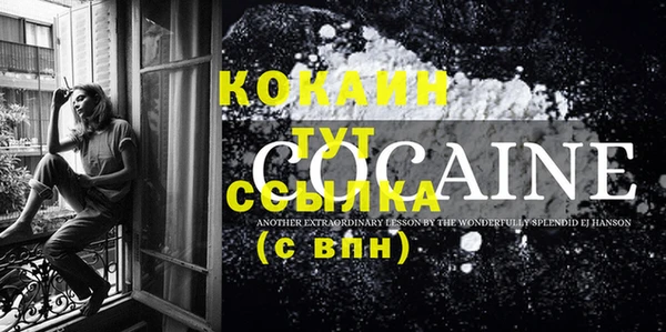 шишки Ветлуга