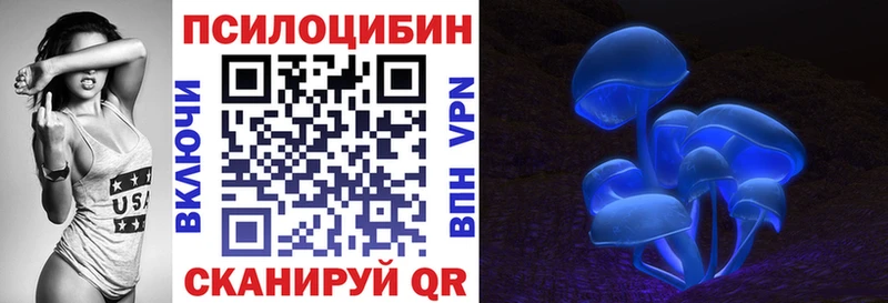Псилоцибиновые грибы мицелий  Купить где  Кизляр 