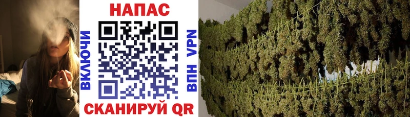Каннабис марихуана  Купить где  Кизляр 